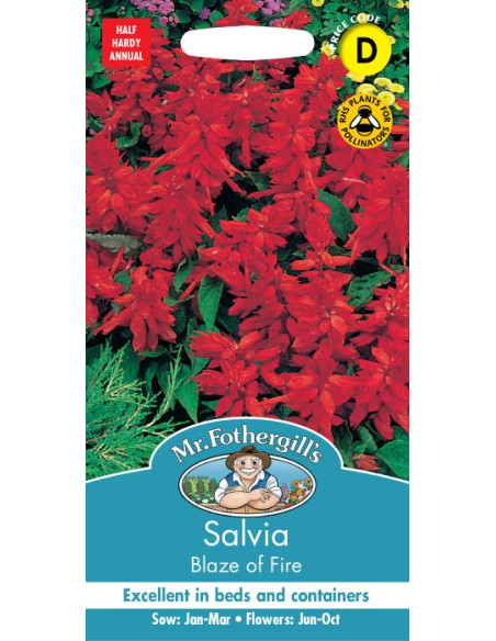Mr. Fothergill's Salvia Blaze Of Fire