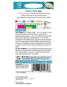 Mr. Fothergill's Shasta Daisy Alaska 2