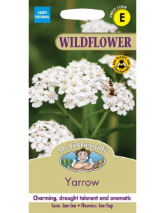 Mr. Fothergill's Wildflower Yarrow