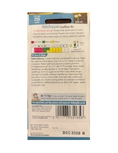 Mr. Fothergill's Helicrysum Strawflower 2