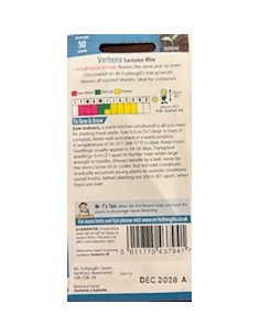 Mr. Fothergill's Verbena Scentsation White 2