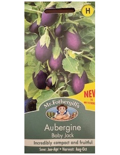 Mr. Fothergill's Aubergine Baby Jack