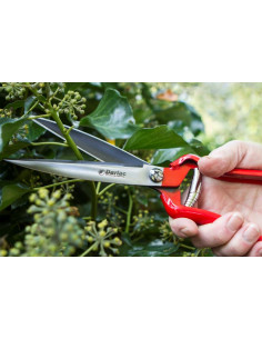 Darlac Staudesaks hos den engelske gartner shop 2