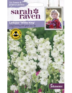 Sarah Raven Larkspur 'White King'