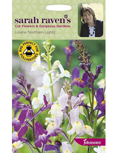 Sarah Raven Linaria 'Northern Lights'