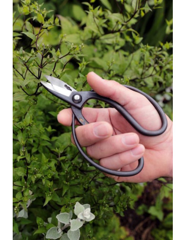 Niwaki havesaks hos den engelske gartner shop