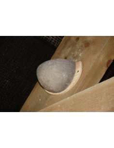 Wildlife World Svalerede