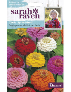 Sarah Raven Zinnia 'Sprite Mixed'