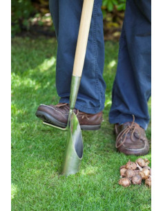 Burgon & Ball RHS rustfri langskaftet løgplanter 2