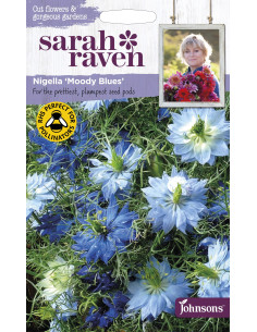 Sarah Raven Nigella 'Moody Blues'