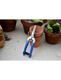 Burgon & Ball British Meadow blomster- og frugtsaks 2