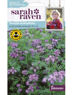 Sarah Raven Phacelia tanacetifolia