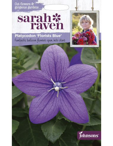 Sarah Raven Platycodon 'Florists Blue'