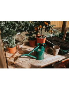 Haws messing spreder - den lille ovale (Baby Oval Rose) 2