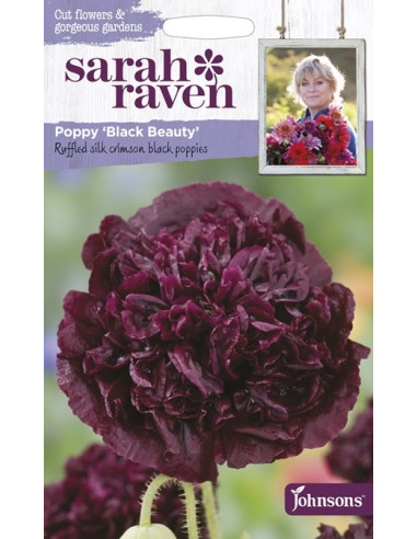 Sarah Raven Poppy 'Black Beauty'