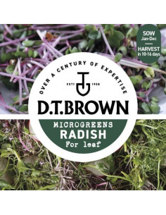 D.T. BROWN Radish Leaf Microgreens
