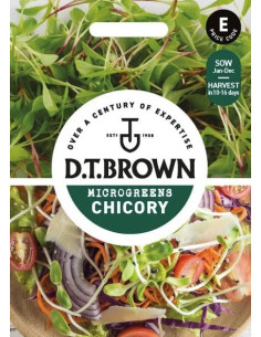 D.T. BROWN Microgreens Chicory