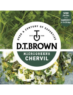 D.T. BROWN Microgreens Chervil