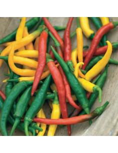 Mr. Fothergill's Pepper (Hot) Devil's Brew 2