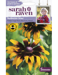 Sarah Raven Rudbeckia 'Aries'