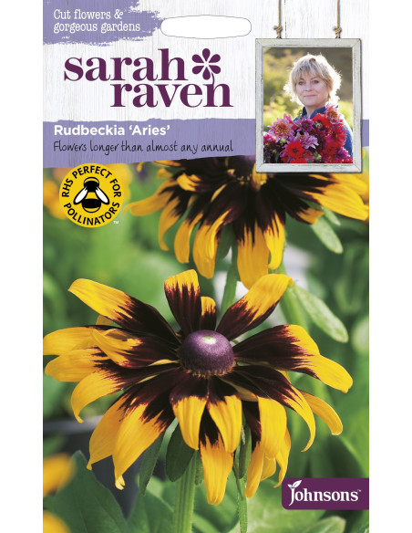 Sarah Raven Rudbeckia 'Aries'
