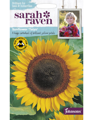 Sarah Raven Sunflower 'Taiyo'