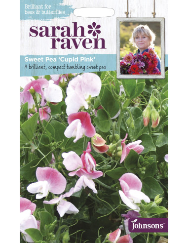 Sarah Raven Sweet Pea 'Cupid Pink'