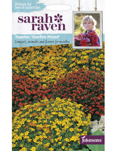 Sarah Raven Tagetes 'Starfire Mixed'