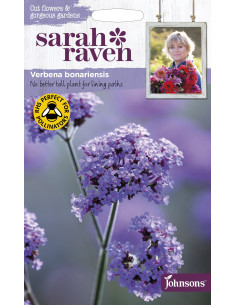 Sarah Raven Verbena bonariensis