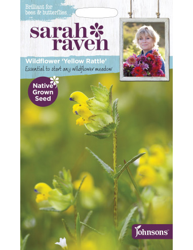 Sarah Raven Wildflower 'Yellow Rattle'