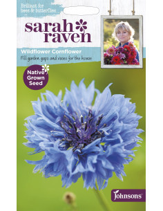 Sarah Raven Wildflower Cornflower