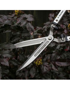 Darlac hækkesaks expert 2