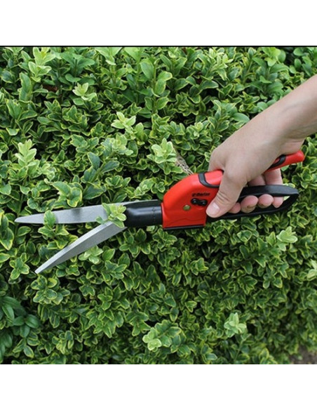 Darlac saks købes her| Bestil Darlac rustfri stål saks til de trange steder i haven