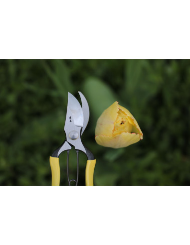 Niwaki professionel håndsaks  hos den engelske gartner shop