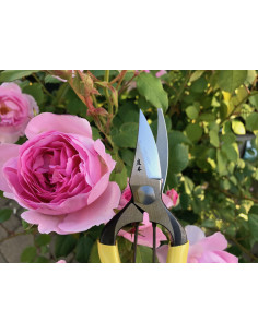 Niwaki professionel letvægts håndsaks 2