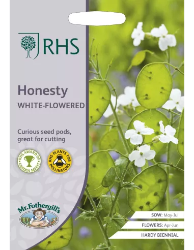 rhs Honesty White-Flowered mr.fotherfills