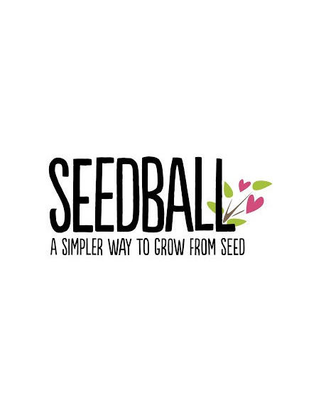 Seedball