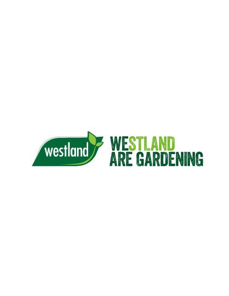 Westland